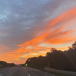 Meet your Posher, Ella